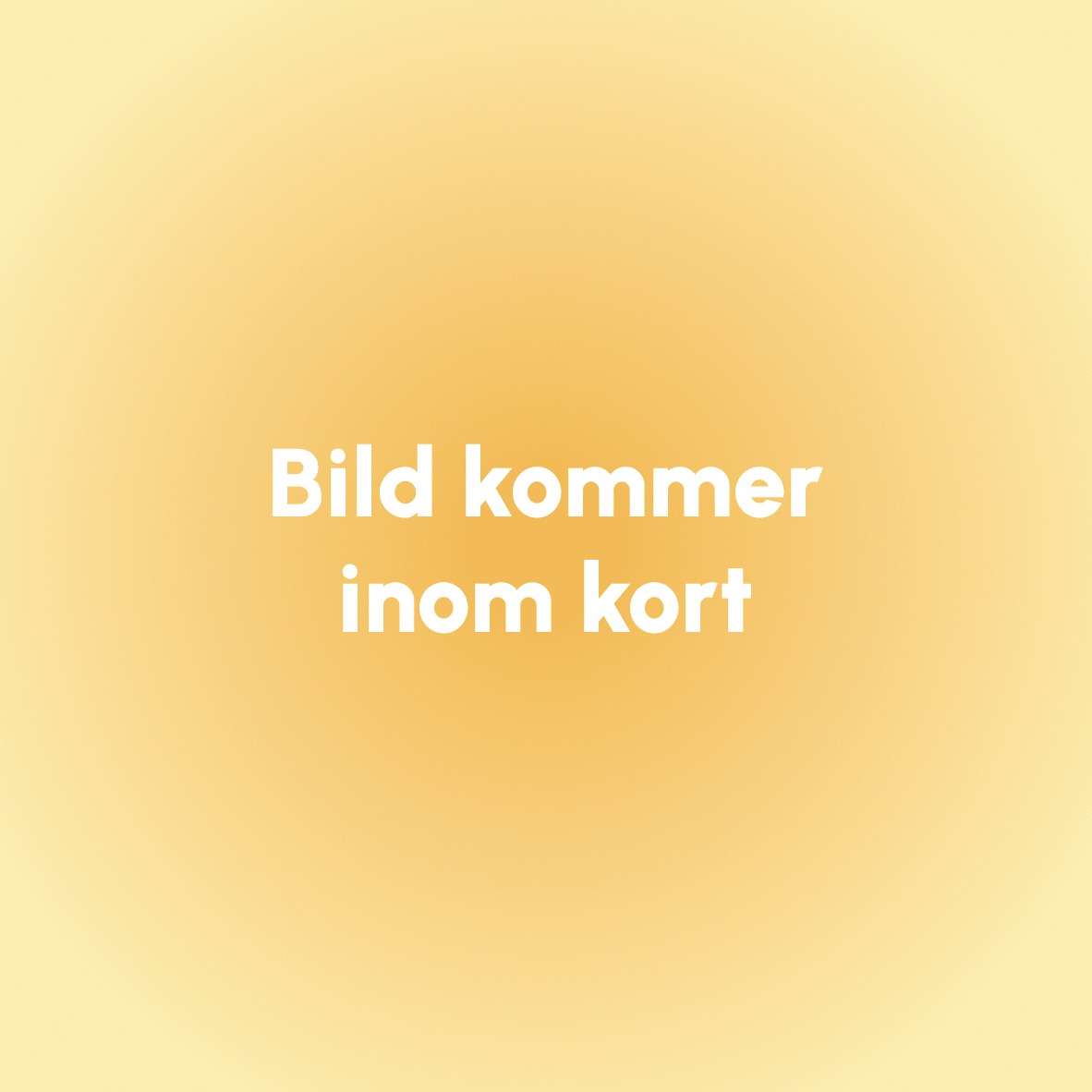Bas (3000-5000kr)